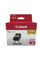 Ngjyrë për printer Canon PGI-550XL BK TWIN SEC, 2x22ml, e zezë