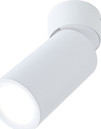 Llambë tavanore Paulmann TURNAL COIN, LED 6W, 3-STEP DIM, e bardhë mat