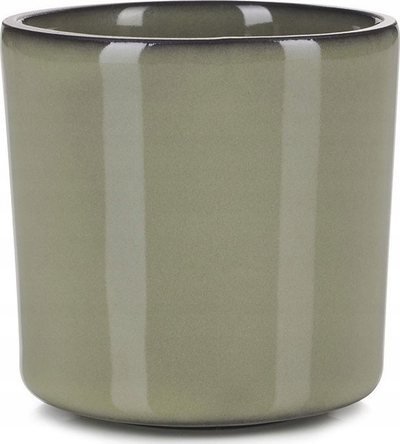 Filxhan çaji Revol Caractere Chinese and Japanese, porcelan, Cardamom