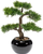 Bimë artificiale Emerald Cedar Bonsai, 34 cm, vazo e zezë