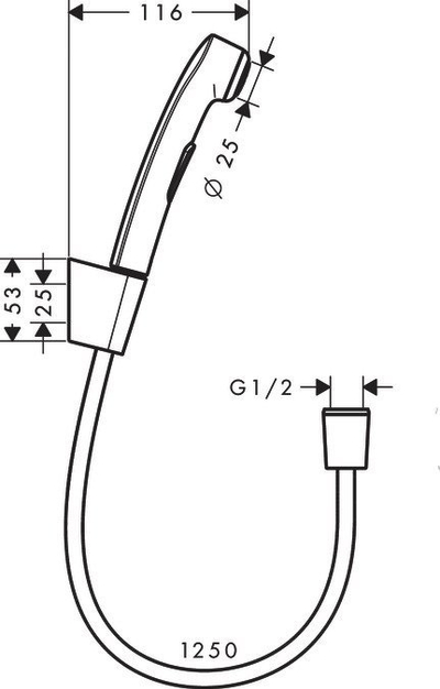 Сет биде Hansgrohe биде, рачен туш со црево 125 cm, ѕиден држач, мат црн хром