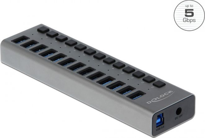 Hub USB DeLOCK 63738, 13 porta USB 3.2 Gen 1, 5 Gbps, gri