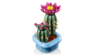 Lodra ndërtimi LEGO Botanicals 11509 Flowering Cactus, set dekorativ, 9+, shumëngjyrëshe