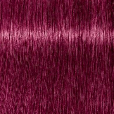 Ngjyrë për flokë Schwarzkopf Igora Royal, Violet Red 9-98, 60 ml