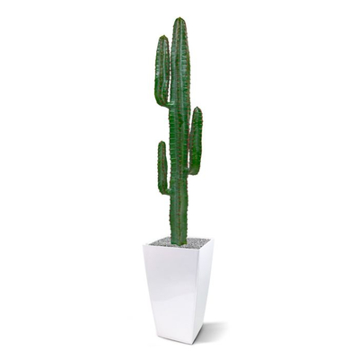 Lule artificiale Verde Decor Cactus Euphorbia, 153cm