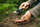 Fiskars Premium Planters Trowel