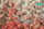 Aksesor modelizmi MiniNatur Tuft Summer Flowering Vegetation 1, shirit 15x4 cm, shumëngjyrësh