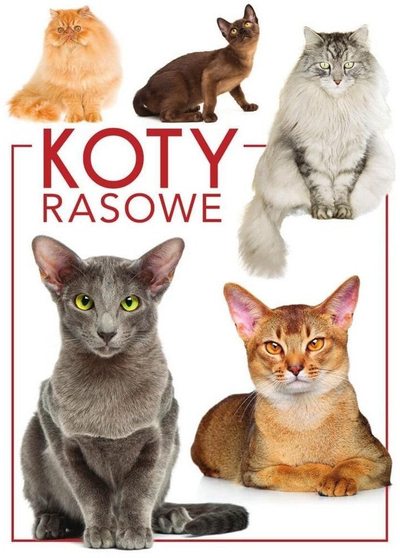 Libër ilustruar mace me racë Pedigree Cats, album fotografik, për fëmijë dhe të rritur, shumëngjyrësh