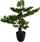 Bimë artificiale bonsai Atmosphera H80, 80 cm, plastikë, e zezë