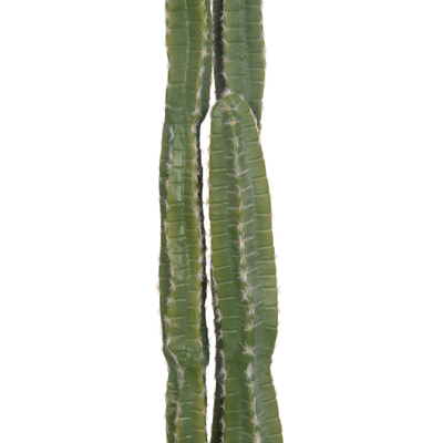 Bimë dekorative sintetike HM4741, kaktus me vazo, 141 cm, jeshile