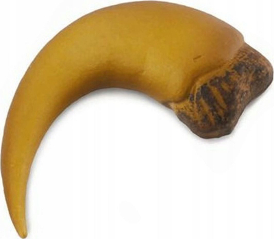 Figurë dinosaur CollectA Baryonyx Claw in a Box, edukative, për koleksionistë, shumëngjyrëshe