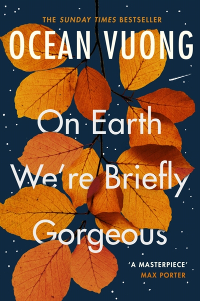 On Earth Were Briefly Gorgeous - Ocean Vuong