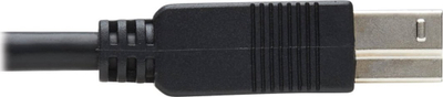 Kabllo USB Tripp Lite U328F-20M, USB 3.2 Gen 1, 5 Gbps, 20 m, e zezë