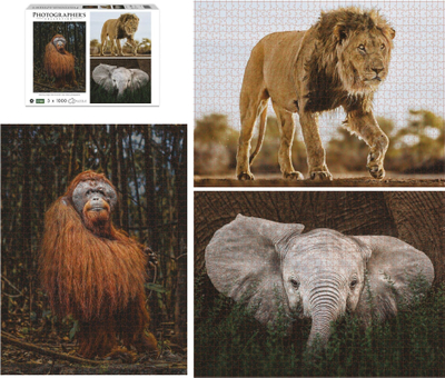 Puzzle Ambassador Wild Animals Donal Boyd, 3x1000 copa, për të rritur, shumëngjyrësh