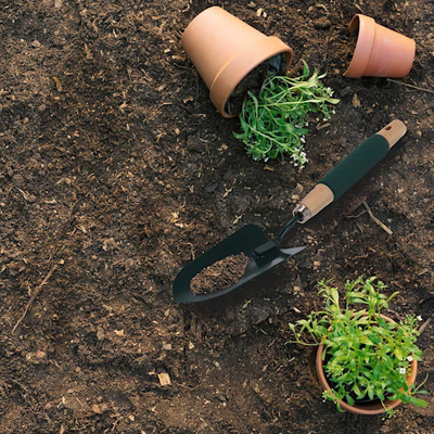 Set veglash kopshti Garden Tools, 4 copa, doreza druri, jeshile