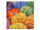 Serveta letre Napkin P Easter 333200, 33x33 cm, 20 copë, me shumë ngjyra