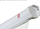 Ekran projektori Avtek Wall Standard 175
