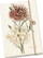 Fletore dekorative STNOTE 87 Carnations, A5, me kapëse elastike, me lule