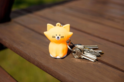 Varëse çelsash InnoGIO GIOkeyring Cat, silikoni, me dritë LED, portokalli