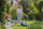 Kositëse bari Gardena PowerMax 30 P4A, 18V, 30 cm, pa bateri