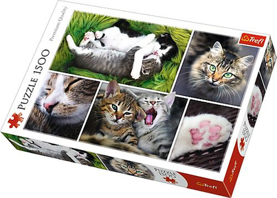 Product Picture