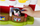 Set loje Fisher Price Little People Farm, fermë ndërvepruese me drita edhe zhurma, ngjyrë e kuqe