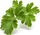 Kapsula me barishte Click &amp; Grow Plain Parsley, 3 copë, për kopsht inteligjent, jeshile