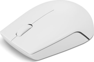 Mouse pa kabllo Lenovo Compact 300, optik, gri e çelët