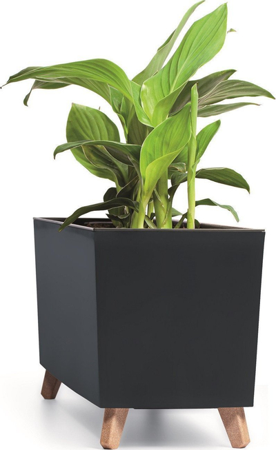 Кутија за цвеќе Prosperplast URBI CASE N, 77 cm, со внатрешен сад, антрацит