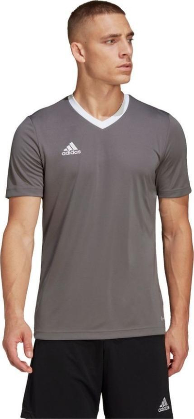 Fanellë stervitje adidas Entrada 22 M HE1574, me teknologji Aeroready, gri