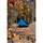 Tendë kampingu ENO SunFly Shade, 2.7 x 2.7 m, UPF 30, blu deti