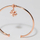 Varёse Rosato Flower RZ192