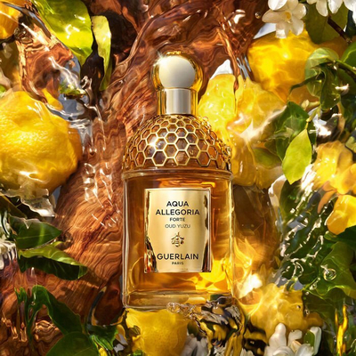 Parfum Guerlain Aqua Allegoria Oud Yuzu Forte, Eau de Parfum, 125ml