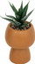 Succulent artificial dekorativ në vazo qeramike, 17 cm, shumëngjyrëshe