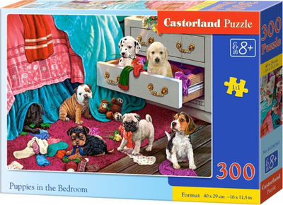 Puzzle Castorland, 300 elemente
