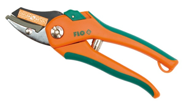 Krasitëse kudhre Flo 99191