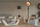 Инфрацрвен грејач Sunred RSS16 Retro Bright Standing, 2100 W, неколку нивоа на моќност, црн