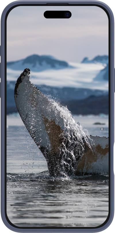Mbrojtëse telefoni Dbramante1928 Greenland Pro, për iPhone 16 Pro, plastike, blu pacific