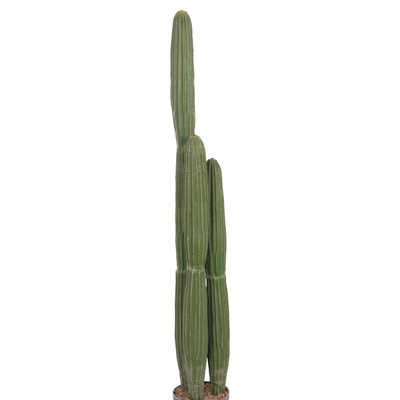 Bimë dekorative sintetike HM4745, kaktus me vazo, 144cm, jeshile
