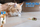 Lodër për mace Vitakraft Matatabi Catnip Mice, me pendë, set