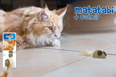 Lodër për mace Vitakraft Matatabi Catnip Mice, me pendë, set
