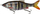 Karrem Savage Gear 3D Roach Shine Glider, 13.5cm, 29g, SS Perch PHP (62248)