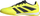Atlete futbolli mrena palestrës Adidas Predator League, për parket, të verdha