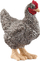 Figurë lodër Schleich Farm World Plymouth Rock Chicken, 4 cm, e lyer me dorë, shumëngjyrëshe