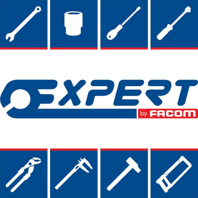 Pjuka za nituvanje Expert by Facom, со глава 90°, со заменливи млазници