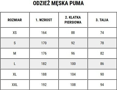 Fanellë futbolli Puma teamVISION Jersey M 704921 04, për burra, e bardhë