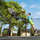 Set basketbolli për trampolinë Zipro ZIPRO, panel me kosh, top me pompë, shumëngjyrësh