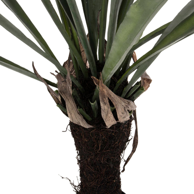 Bimë sintetike ASPLENIUM PROLONGATUM në vazo (HM7975)