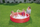 Pishinë me ajër Bestway Play Paddling Pool, 1.52m x 30cm, për kalamaj 2+, shumëngjyrëshe