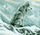 Set pikture me numra Frame Wolf In The Mountains, 40x50 cm, shumëngjyrësh
